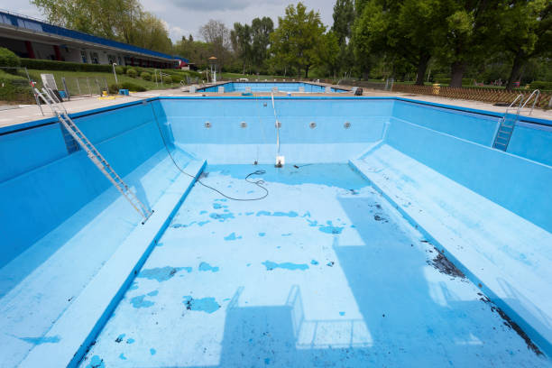 Best Professional water damage repair  in Buhl, MN