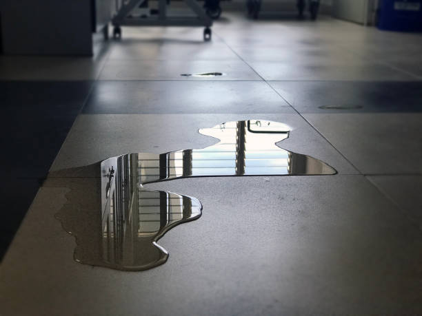 Reliable Buhl, MN Water damage restoration Solutions