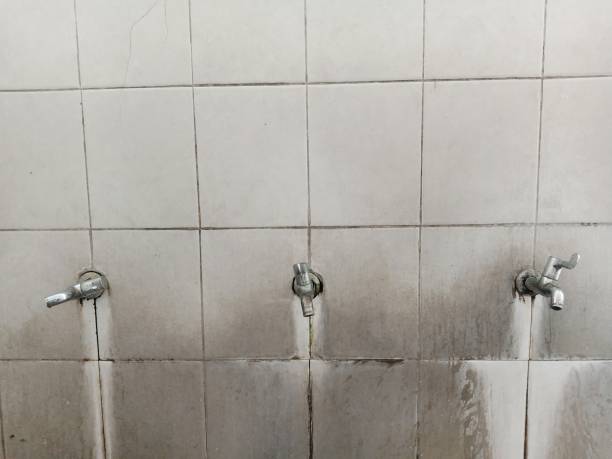 Best Carpet water damage restoration  in Buhl, MN