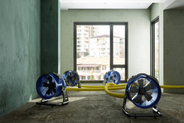 Best Water damage restoration near me  in Buhl, MN